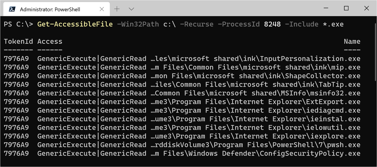 Filtering paths to executables only with Get-AccessibleFile and the Include parameter.