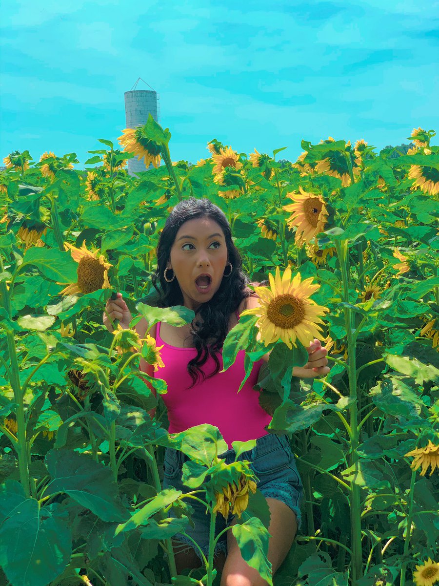 jazminengalan's tweet photo. When you think you’re cute &amp; a swarm of bees come &amp; puts you in your place REAL QUICK 🐝 
#GottaBlast https://t.co/cOUGwcu1ZT