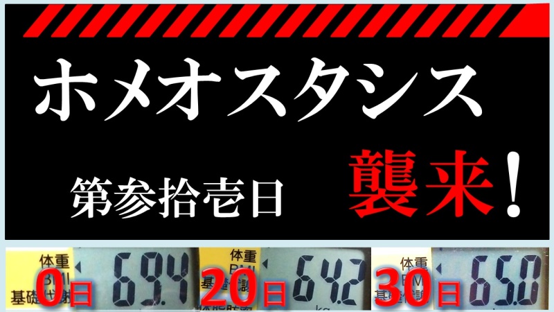 京都民 50日で6キロ減 Gi Dieters Twitter 京都民 50日で6キロ減 Gi Dieters Twitter