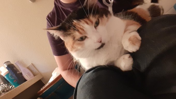 I end up sitting here forever because she just wants to spend time with me but she will only do it here
