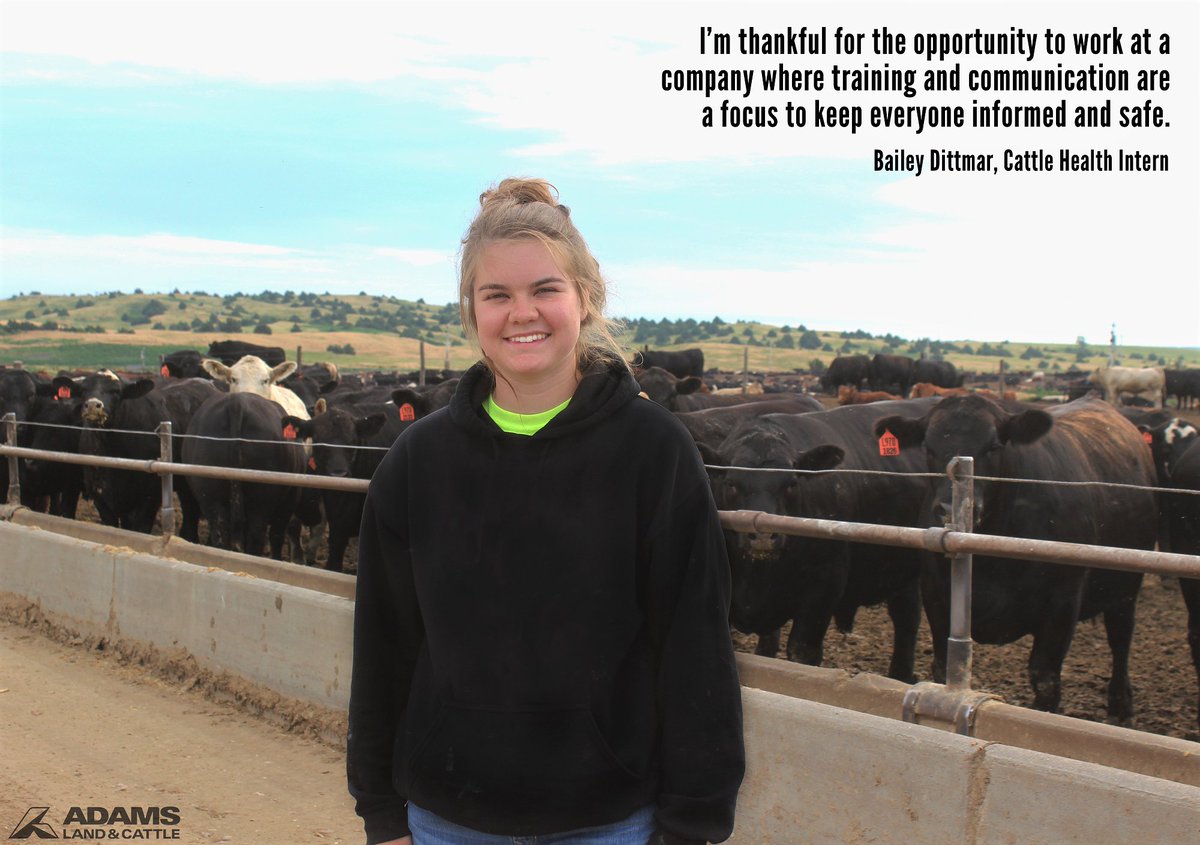 AdamsCattle's tweet photo. Meet one of our #ADAMSInterns...Bailey Dittmar from @EasternWyoming! Take a look at what she enjoys most about her cattle health #internship. https://t.co/pf2wkkP9Oa