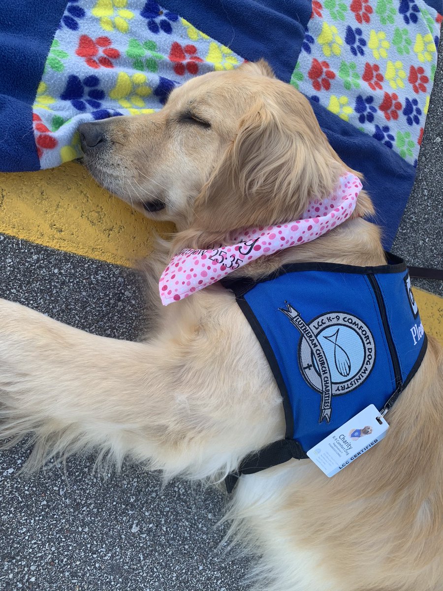 SchlitzPark's tweet photo. &amp; that’s a wrap! Thank you to our #Milwaukeecommunity for coming together at our @BloodCenterWI blood drive to #savelives during a fun and #sociallydistanced day on #Milwaukee Riverwalk! https://t.co/1Vf1KxfQGN