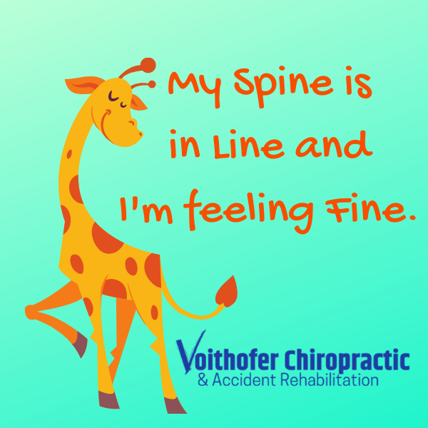 DrVoithofer's tweet photo. Don't settle for the back pain life! See our availability: https://t.co/GdLX5sbKoH 

Did you know we give discounts for families? 

We will also make payment plans for those in hardship. Call the office for more information. 
#backpain #chiropractic #Omaha #omahachiropactor https://t.co/VOZ7HRU6H5