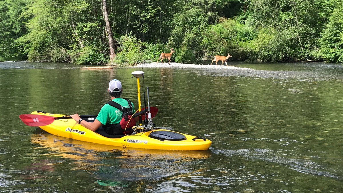 dea_marine's tweet photo. Enjoying the wildlife during a kayak single-beam survey of the beautiful Sultan River, WA. #hydrography #singlebeam https://t.co/xPfeRn3xWh