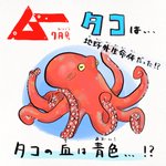知られざる生態が明らかに!？タコは地球外生命体だった!