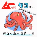 知られざる生態が明らかに!？タコは地球外生命体だった!