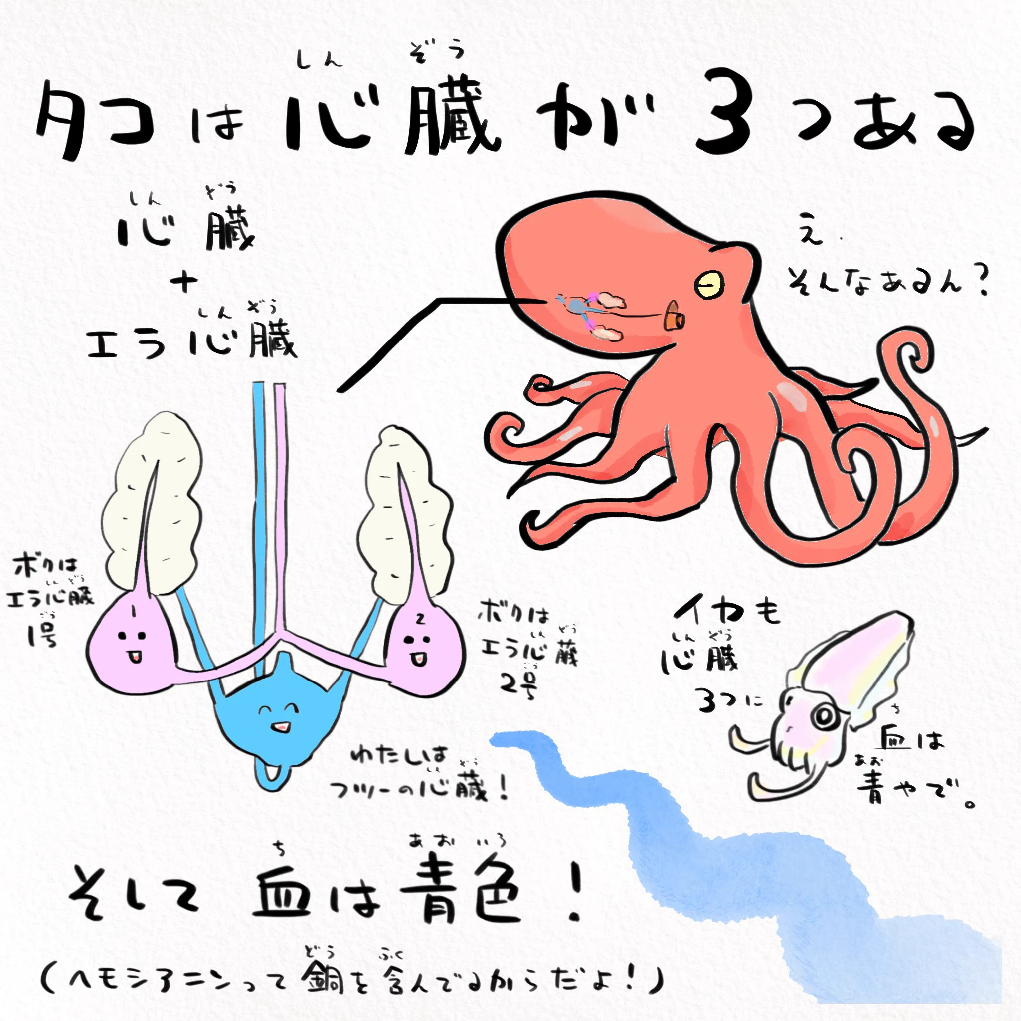 知られざる生態が明らかに！？タコは地球外生命体だったwww