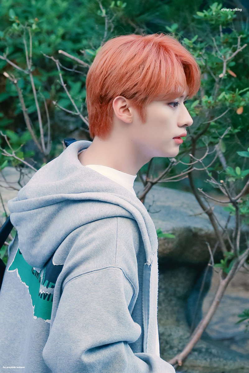 hourly lino (@hourlylino) on Twitter photo 