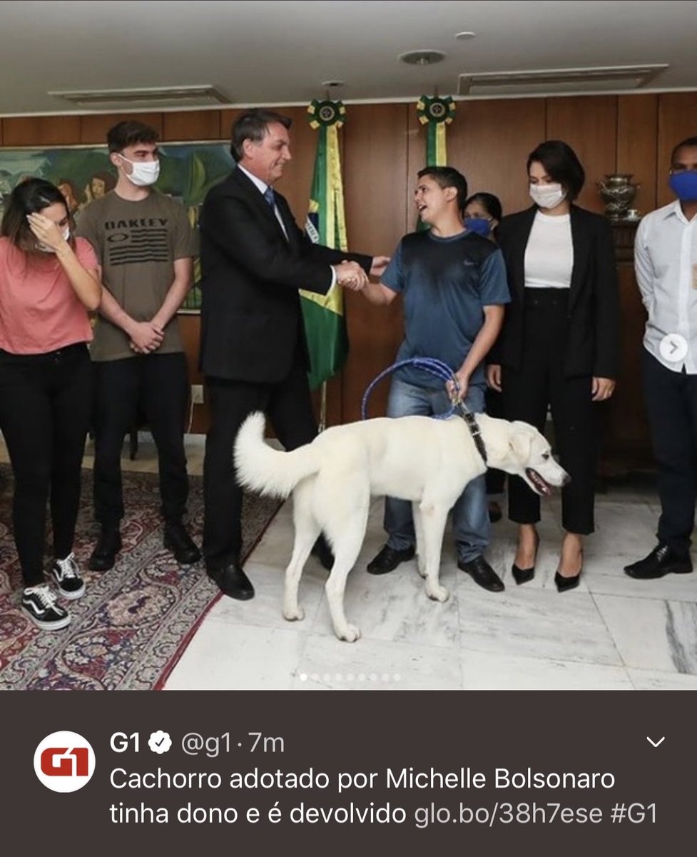 gabrielbeblo's tweet photo. Imagina o arrependimento do cachorro que saiu correndo quando viu o portão de casa aberto https://t.co/Xl4rut0e4M