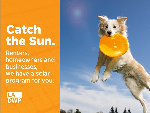 LADWP's tweet image. Don't own your home? No problem. Renters can benefit from solar too! #solar #gosolar #sharedsolar ladwp.com/solar