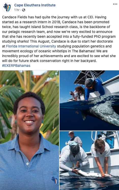 Predator Ecology & Conservation Lab tweet media