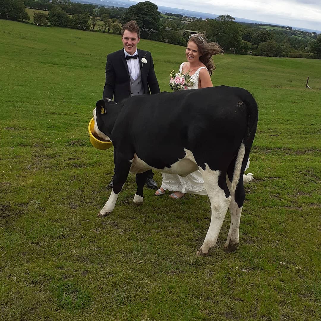 john_trant's tweet image. You'd never guess we were farmers. 😂 from sue the pet Hereford to a 225hp weapon of a tractor that would make "contractor does it all" approach binned. Few bottles in a big tent with good friends made it unforgettable.