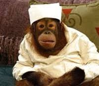 They also introduced a character called Precious. Precious was a live-in nurse & caregiver for an elderly character called Edna.During her stay on the show, Precious developed an unrequited love for another character called Luis. Oh, Precious was also a FUCKING ORANGUTAN.