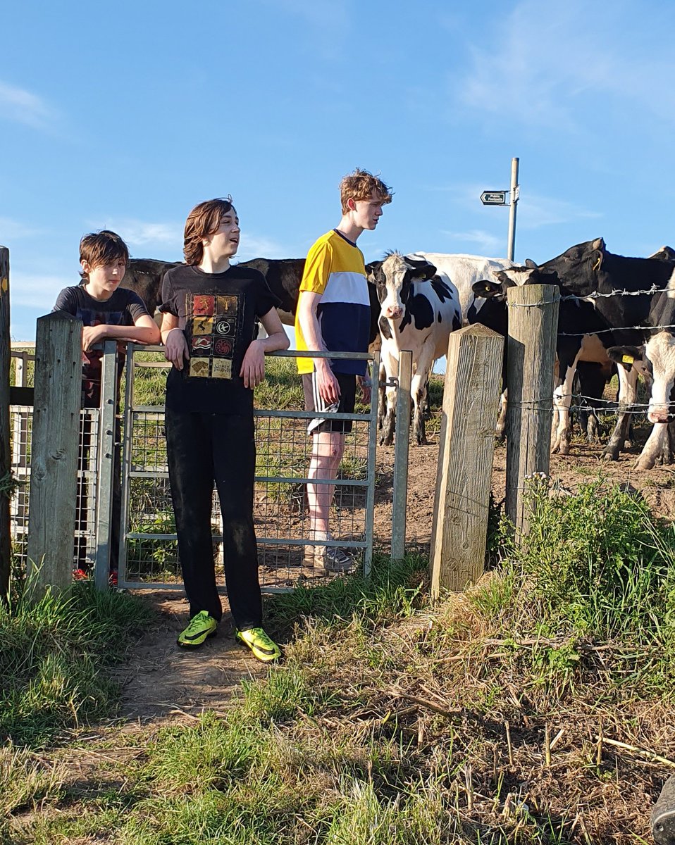 @LoveWestNorfolk @YourLocalPaper @TheLynnNews @KLFM967 
Love living so close to Terrington Marsh, these were taken when we went to get some Samphire.