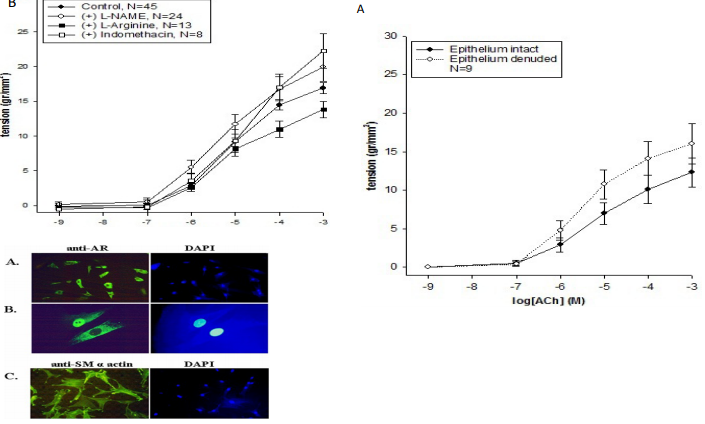 Prrmojeditor's tweet photo. Physiological Parameters Affecting the Modulatory Role of Airway Epithelium on Airway Smooth Muscle Responsiveness
Article Link: https://t.co/rHbvZmsTEK
#Airways #Epithelium #NitricOxide #Pulmonary #RespiratoryDiseases https://t.co/qGSPsmpYTf