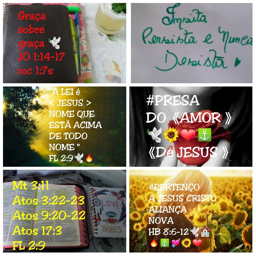 RosaMar14112784's tweet photo. "Aconselho-te que de mim compres ouro provado no fogo, para que te enriqueças; e roupas brancas, para que te vistas*"Ap3:18;mt10: #Nããã a soberba " #CertezaJesus #ConfiançaJesus #Maanaim #InteragirComEle #DiálogoComEle #girassóis #Rosas @Rozane_Costa https://t.co/FEQj5geH4J