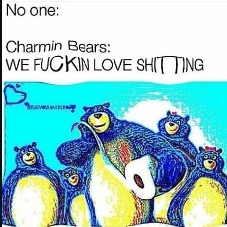 Cyranek's tweet image. 🐻