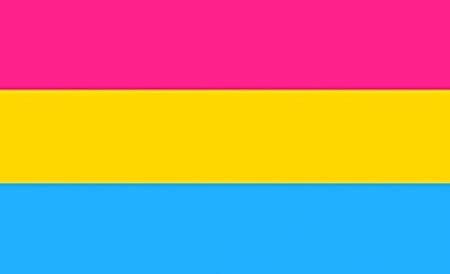 everyone - pansexualEVERYONE’S PAN!! FUCK PANPHOBES PANSEXUALITY IS 100% VALID
