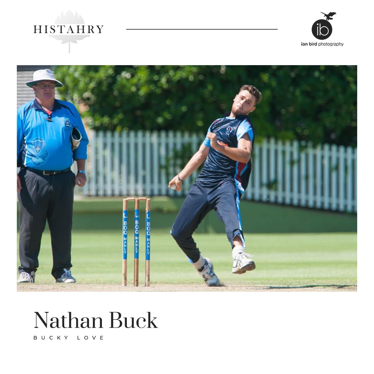 Manly Cricket tweet media