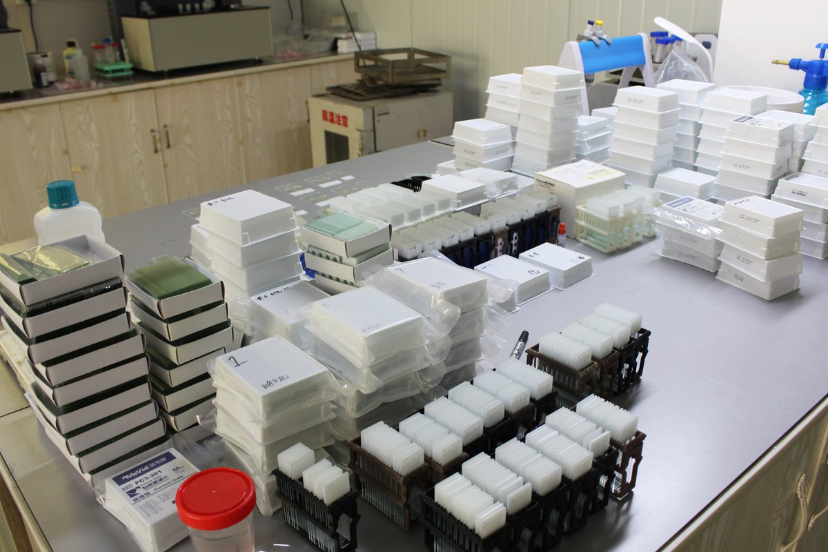 mevidscience's tweet photo. MeVid comes from the spanish word Major (Better) and Vidrio (Glass products), which means to make better glass products (microscope slides and cover glass).#Mevid #Microscopeslide #histopathology
#microscopeslide
☎️+86513-82248886
🖥️https://t.co/jSGYa6ML3M https://t.co/i7j5B05LrA