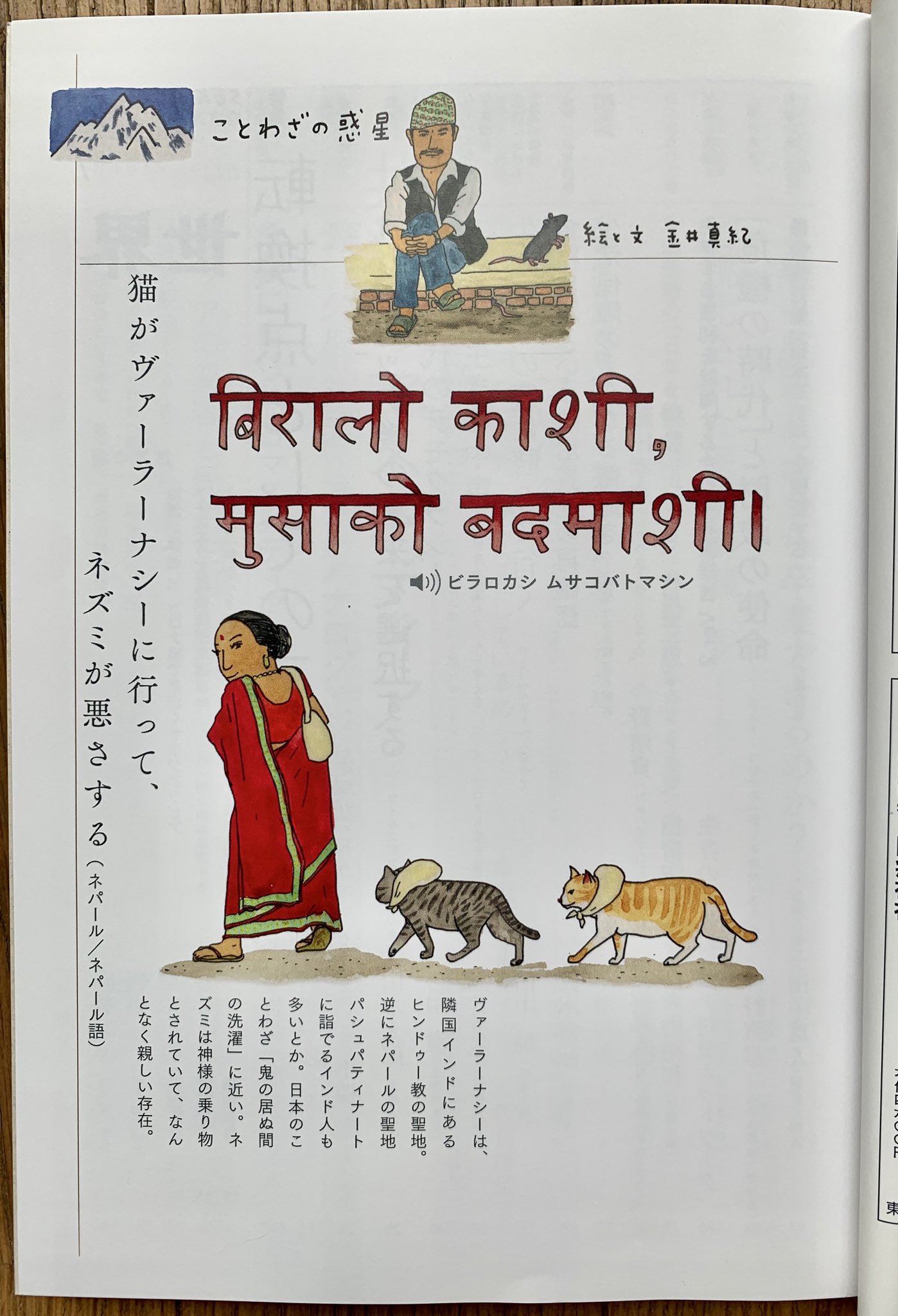 金井真紀 ネパール語のことわざ 猫がヴァーラーナシーに行って ネズミが悪さする 日本語の 鬼の居ぬ間 の洗濯 のような意味 ネズミが主役のつもりで絵を描いたのに デザイナーさんから届いたレイアウトは猫が堂々としていた 岩波書店 世界 7月