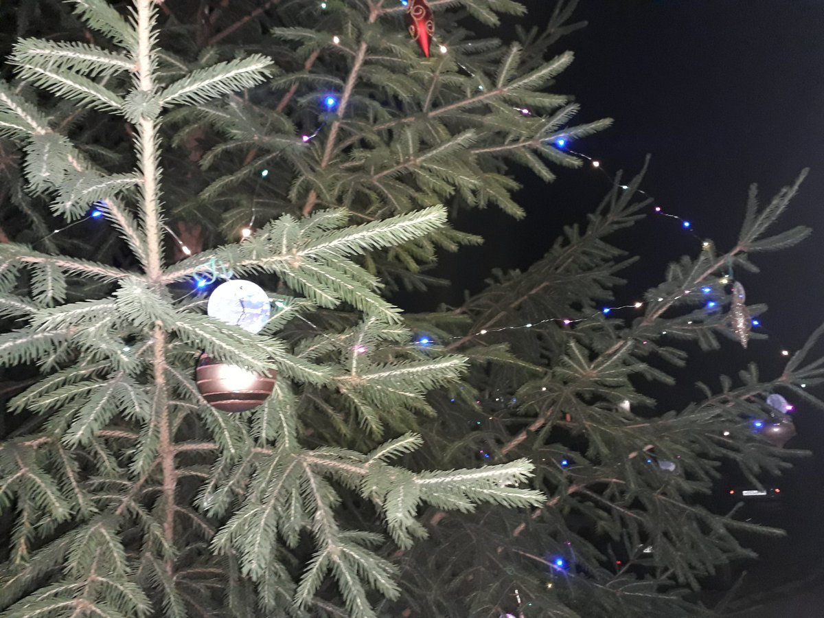 andrewlybko's tweet photo. The 1 - st July 2020 ! 🎄🌞

#The1stJuly2020! 🎄🌞
#July2020
#July https://t.co/KSv7TuvoUx