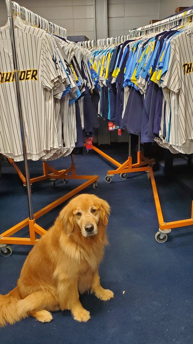 BatdogRookie's tweet photo. What a sad day, I won't be retrieving any @TrentonThunder bats this season. I look out on the empty seats and I miss all the fans &amp; the players. I can't wait until me and Dash can go out there and play baseball again. https://t.co/oTqNcXbe8X