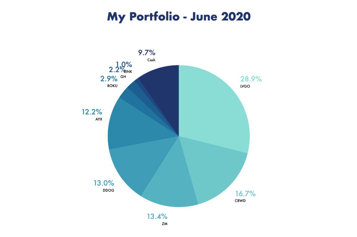 My portfolio as of Jun 30, 2020: $LVGO – 28.9% $CRWD – 16.7% $ZM – 13.4% $DDOG – 13.0% $AYX – 12.2% $ROKU – 2.9% $GH – 2.2%LINK – 1.0%Cash – 9.7% Performance:+116.6% YTD vs -4.04% S&P 500