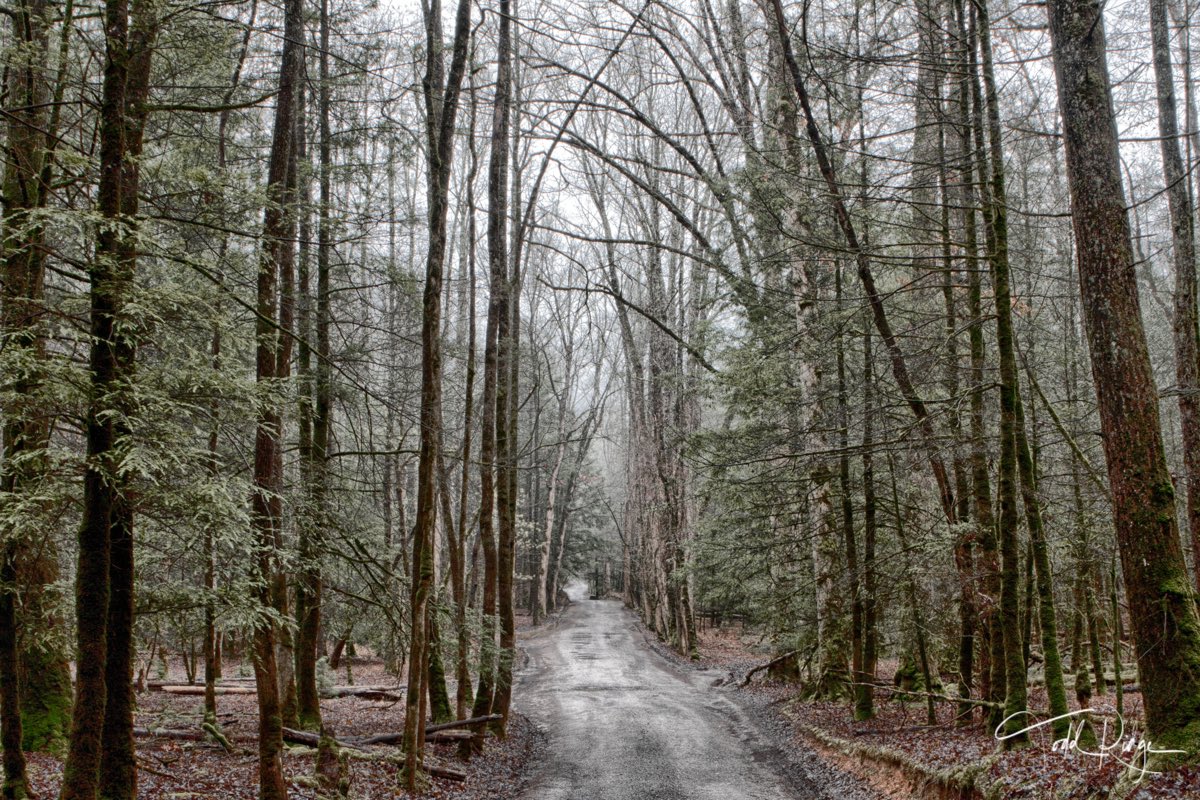 ToddRidgeArtist's tweet photo. You can have the city life. I’ll take this any day of the week. ⁣
#bhghome #homedecor #fixerupper #farmhouseliving #rusticdecor #magnoliahome #countryliving #farmhouse #farmhousefanatics #rustic #farmhouseinspired #farmhouselife #fixerupperstyle #farmhousestyle #farmhouseinspo https://t.co/IdofFK7Qwh