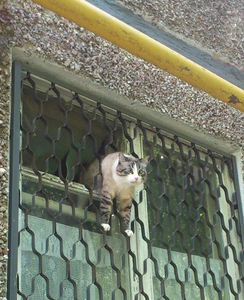 person (@joeidc) on Twitter photo 