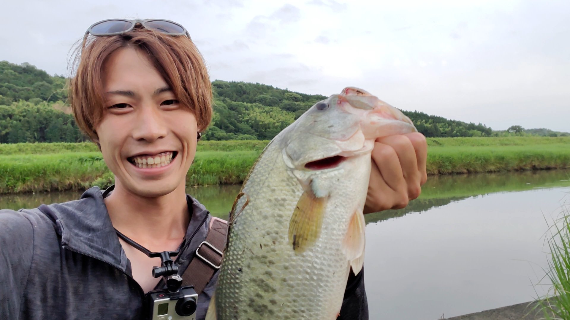 夏のバス釣り Twitter Search Twitter