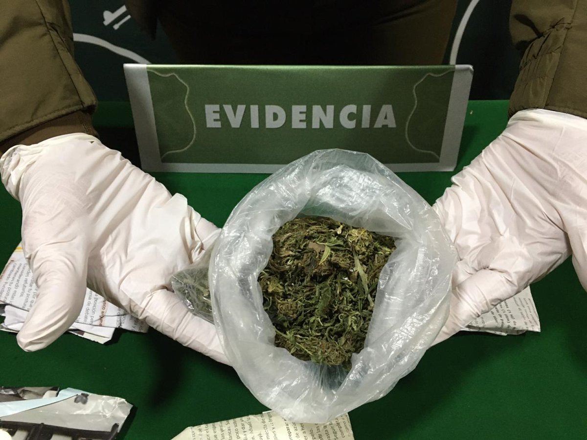 Carab_Maule's tweet photo. #Licantén: Carabineros de la Sección #OS-7 #Talca, detuvo a un sujeto por microtráfico de drogas y tenencia ilegal de armas. Además, incautó diversas dosis de sustancias ilícitas, dinero en efectivo, armas de fuego y municiones. #OrdenyPatria https://t.co/nakLthXhGw
