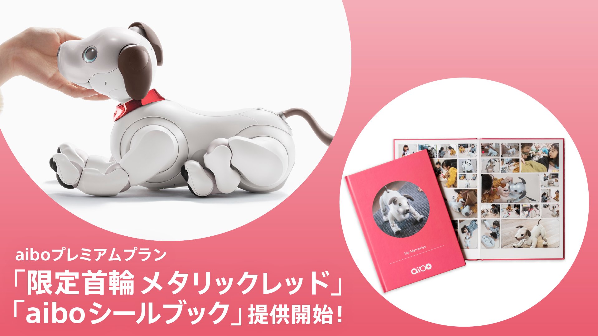 88%OFF!】 aiboプレミアムプラン首輪 限定カラー メタリックピンク