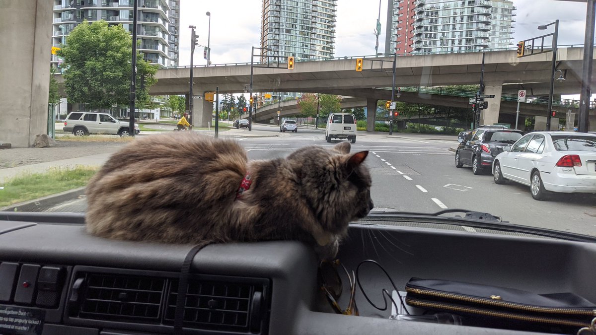 Matt McT (@therealmattmct) on Twitter photo 