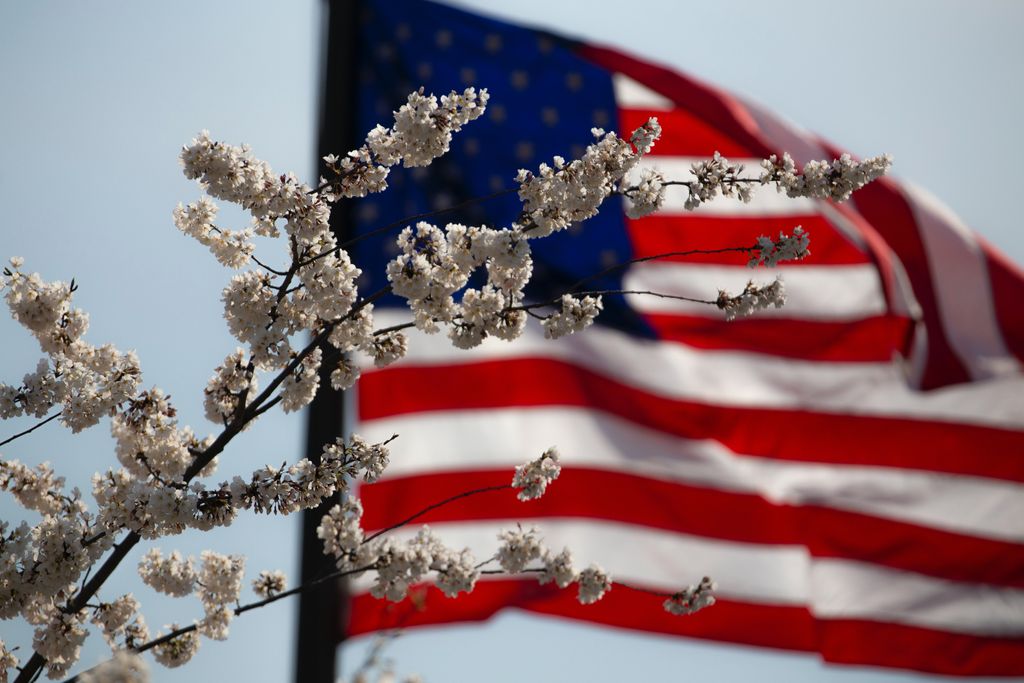 YazoosW's tweet photo. Yazoo's Outdoor World is Wishing You a Happy 4th of July by including an additional 15% Off the WHOLE Store for the Entire Month of July! Don't Miss Out!
#July4th #camping #hiking #archery #watersports #climbing #fishing #golf
https://t.co/arn29YYe45 https://t.co/y2AQxGnsAc
