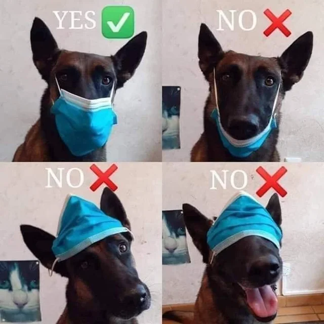 WholesomeMeme's tweet photo. https://t.co/Eleosh0LCx