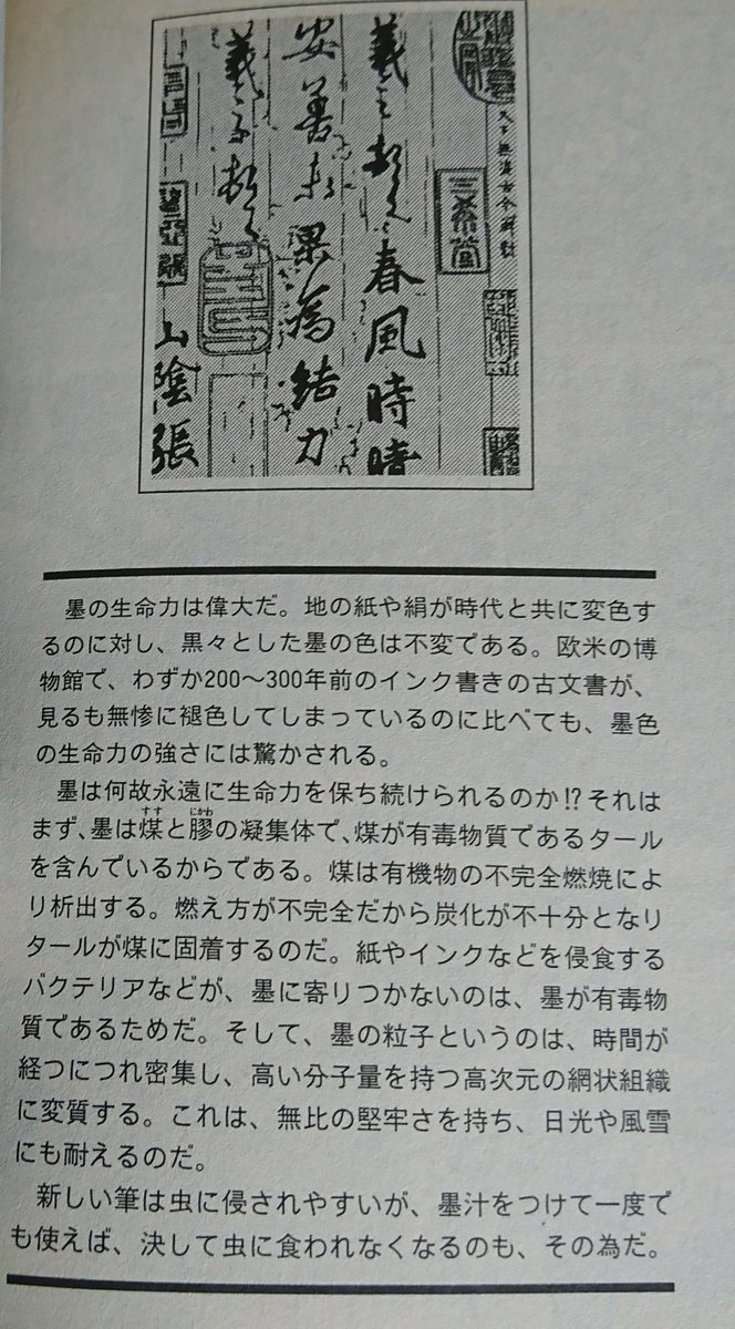 里見桂 里見桂