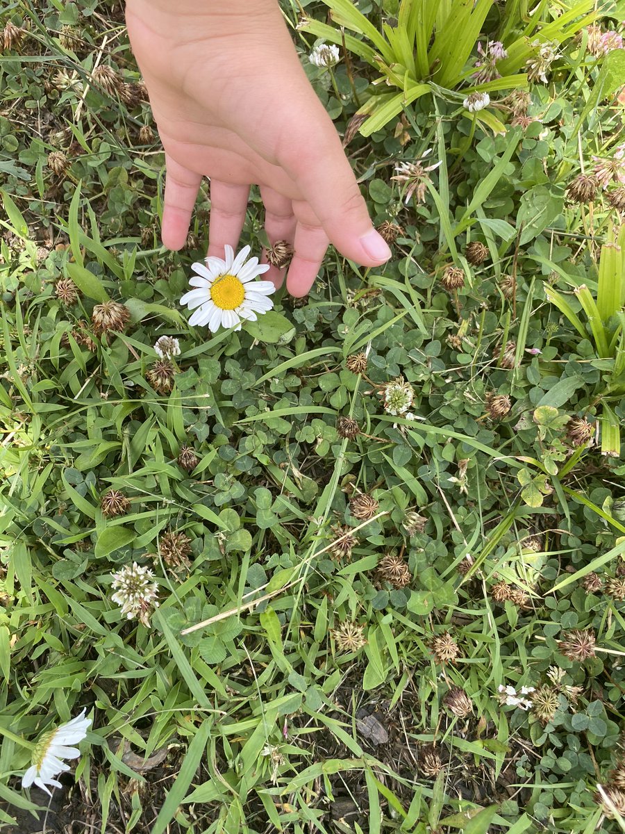 i didn’t finish my pictures! Here’s a flower my bby cousin found