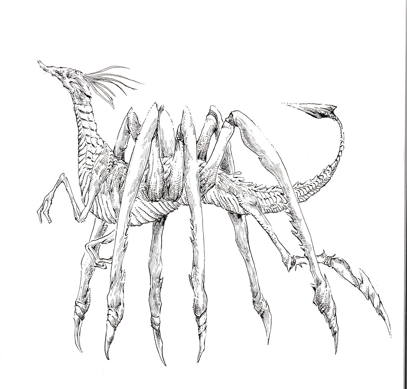 がいざ ん リュウモドキ ペン画 アナログ 架空生物 イラスト T Co Mtlagm2aup Twitter がいざ ん リュウモドキ ペン画 アナログ 架空生物 イラスト T Co Mtlagm2aup Twitter