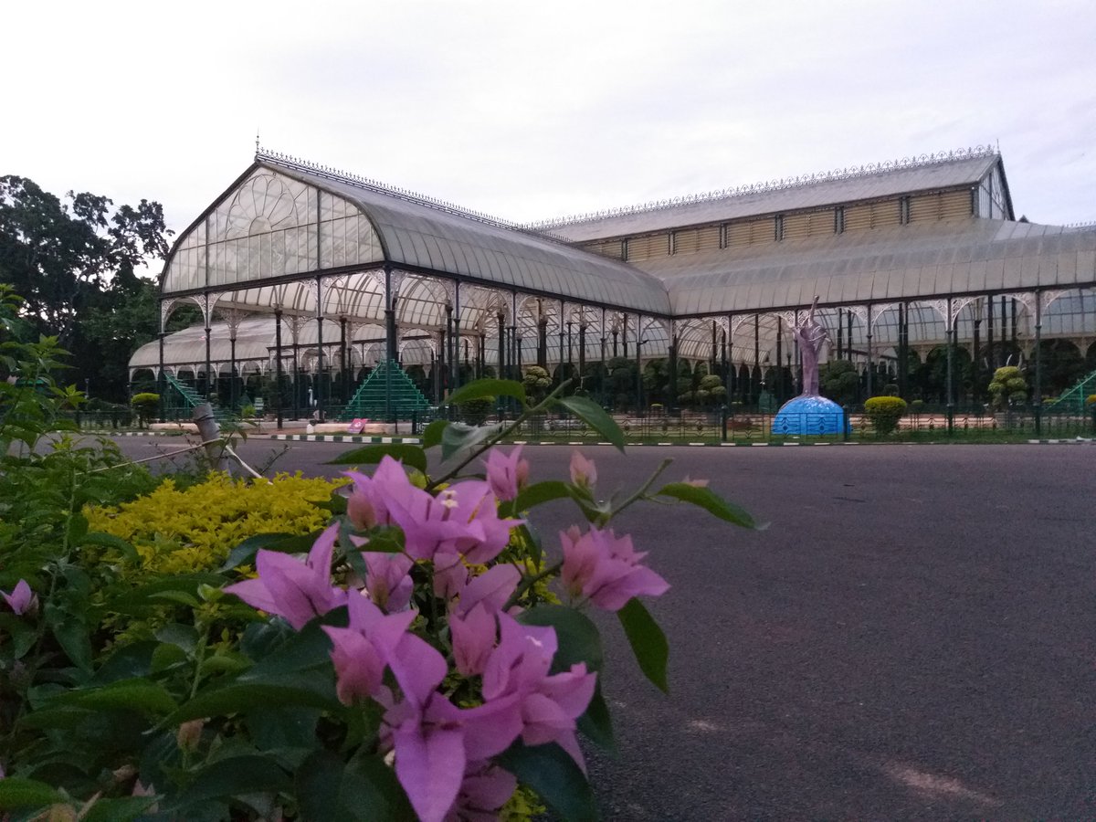 BLRrocKS's tweet photo. Truly #BLRrocKS alwa!?
ನಮ್ಮ own lalbagh... 🙏 🙏
ಸಸ್ಯ ಕಾಶಿ... https://t.co/54Mhb4orSD