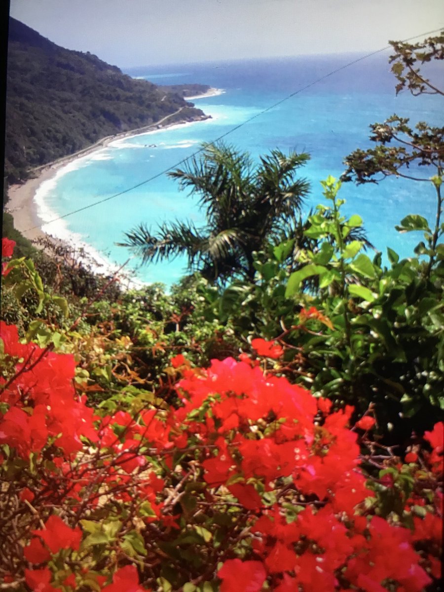 jdmotto4's tweet photo. Day 30, something colorful, #JunePhotoChallenge https://t.co/ORZAQVfbG0