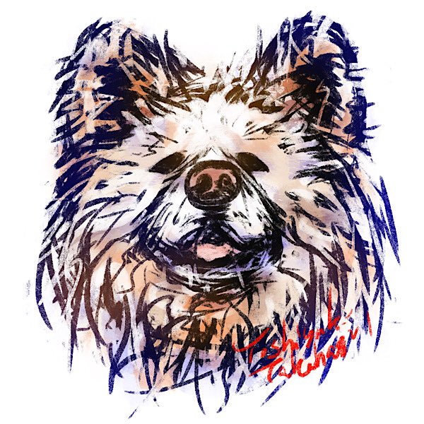 昨日描いた絵 色塗ってみた 熊じゃ無いよ わさお だよ 梅雨の創作クラスタフォ ピパソデザインのイラスト