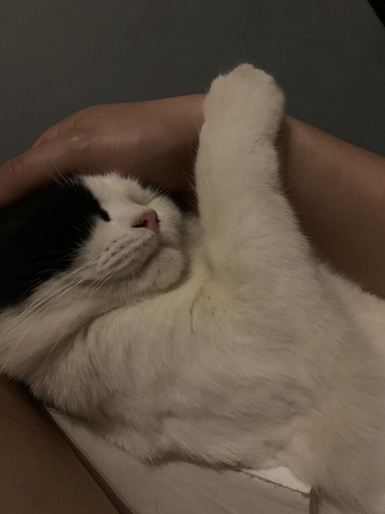 远远⛑🇦🇷 tweet media