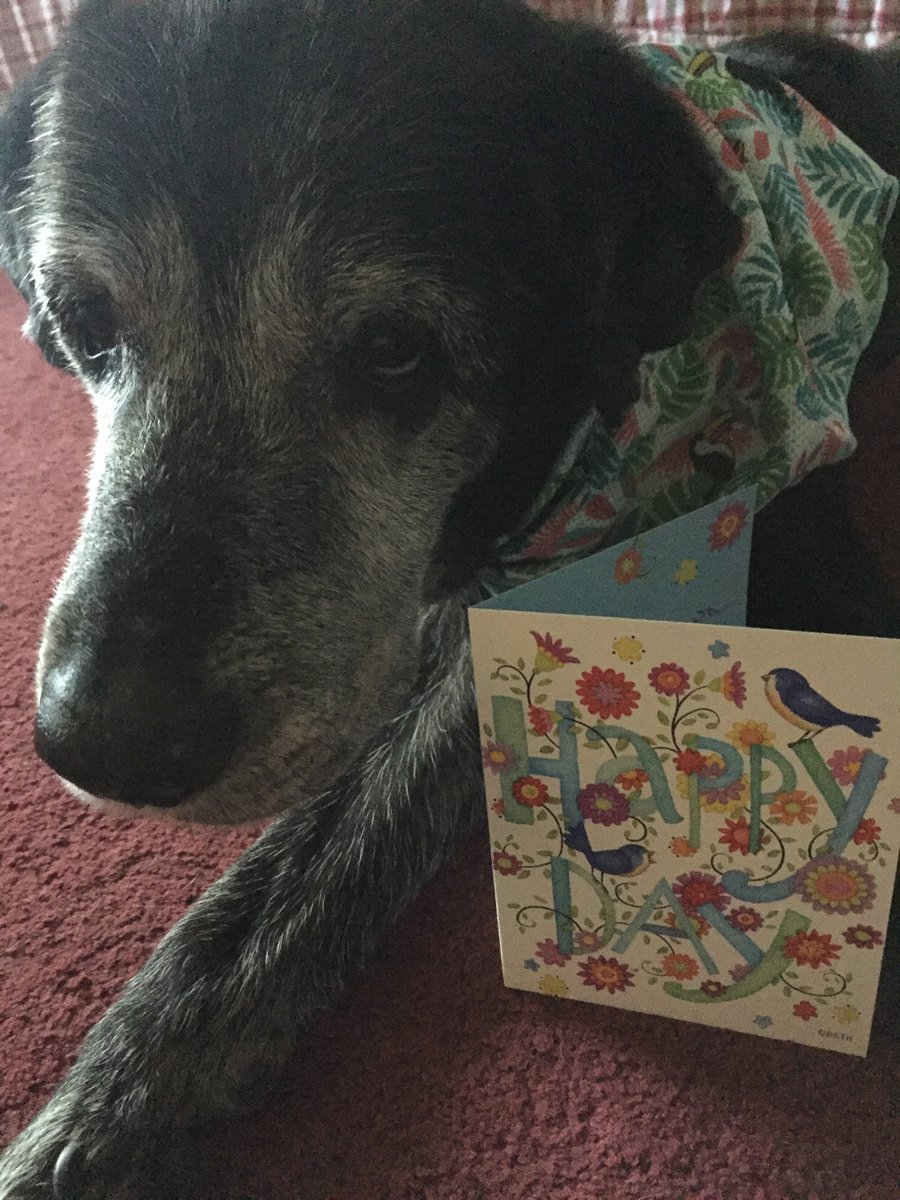 Aloha Friends! I got a nice cooling bandana and card from my nephew Doc today!! Would my friends that don’t know him please check him out and say Aloha and follow? 😁🌺