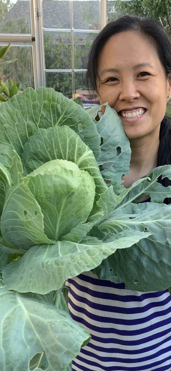 Anh Tu Quach tweet media