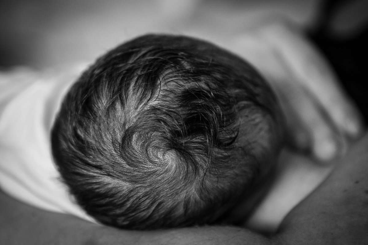 Rohese Devereux Taylor tweet media