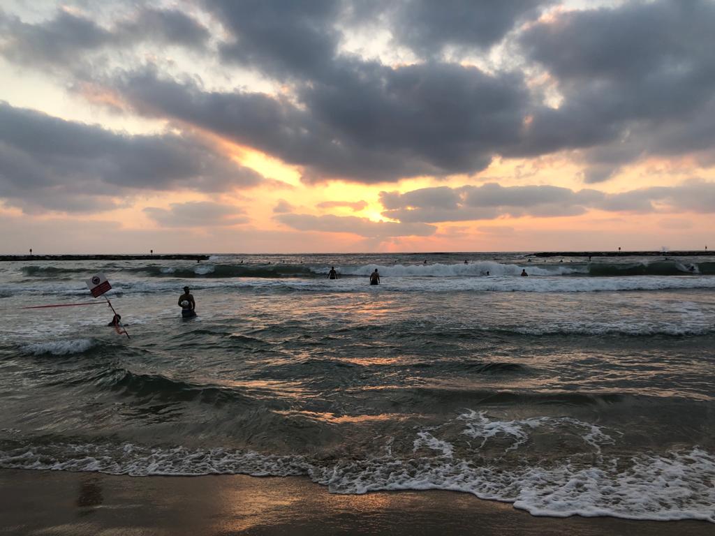 Ashager Araro tweet media