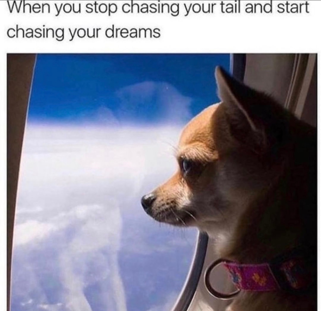 🤔🤔