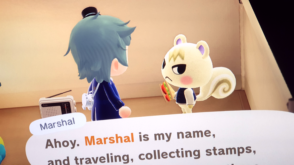 dukarriope's tweet photo. THIS IS NOT A DRILL

how much for #marshalinboxes?

#ACNH #AnimalCrossing #AnimalCrossingNewHorizons #AnimalCrossingMarshal #marshal #NintendoSwitch https://t.co/H8najFiVrJ