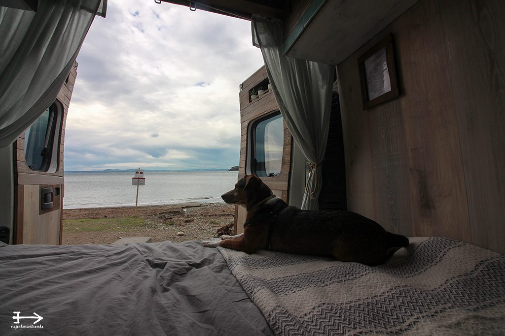 ViajandoNuestraVida tweet media